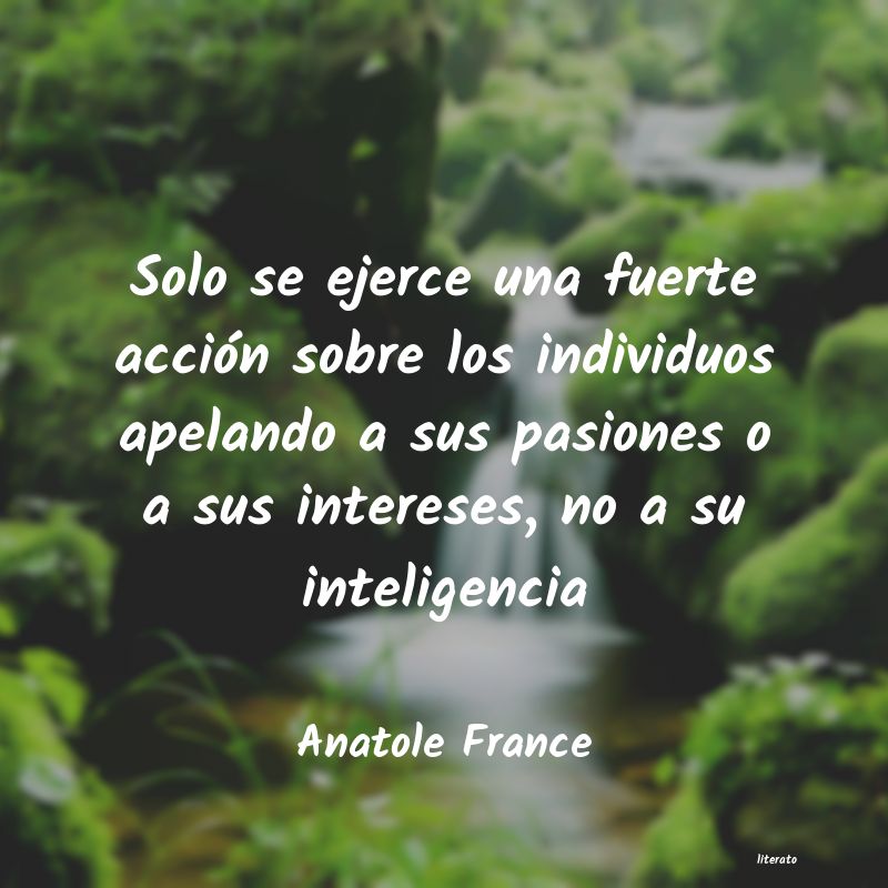 Frases de Anatole France