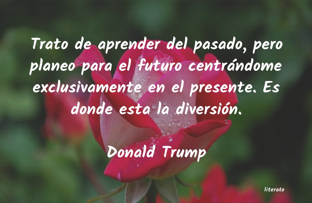 Frases de Donald Trump