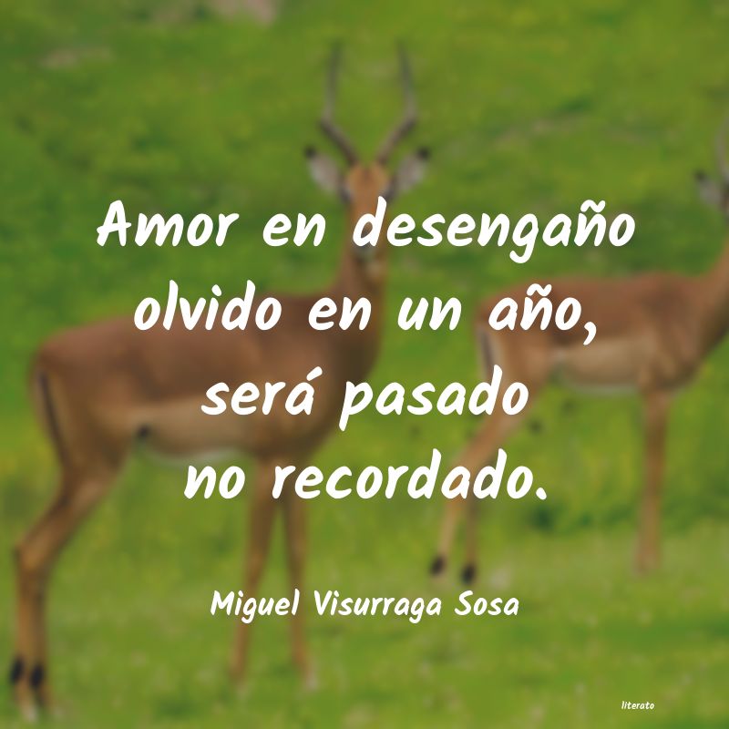 Frases de Miguel Visurraga Sosa