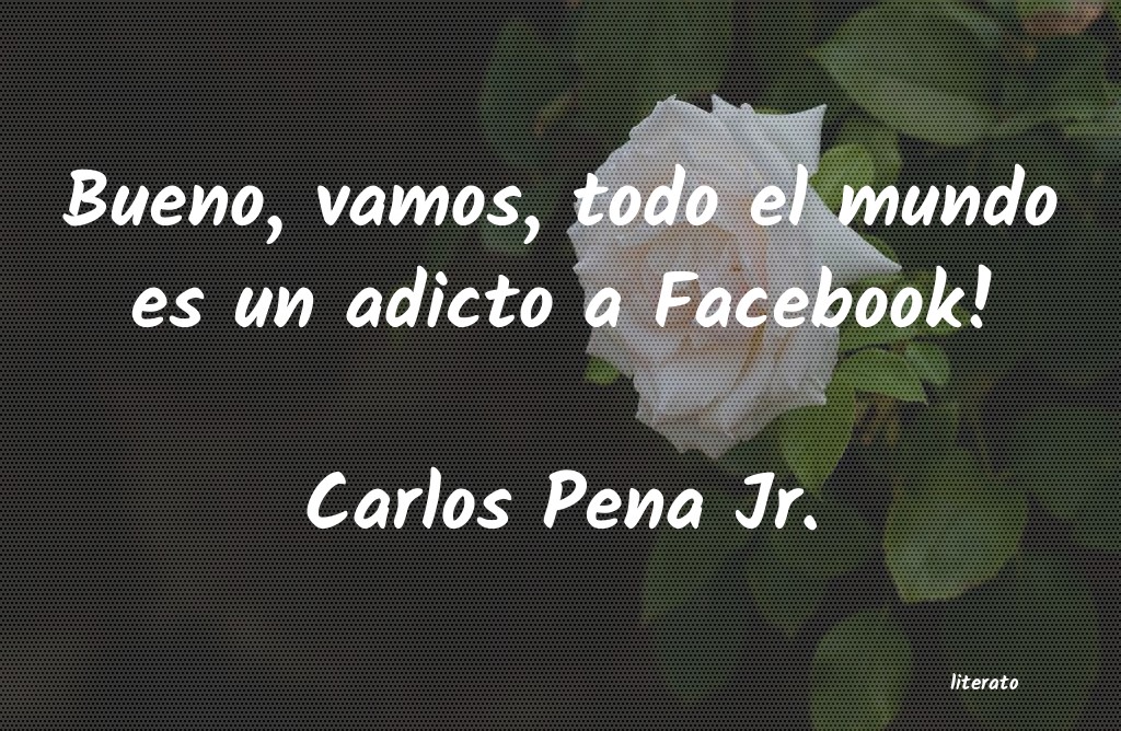 Frases de Carlos Pena Jr.