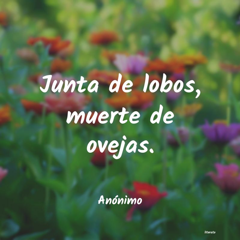 frases