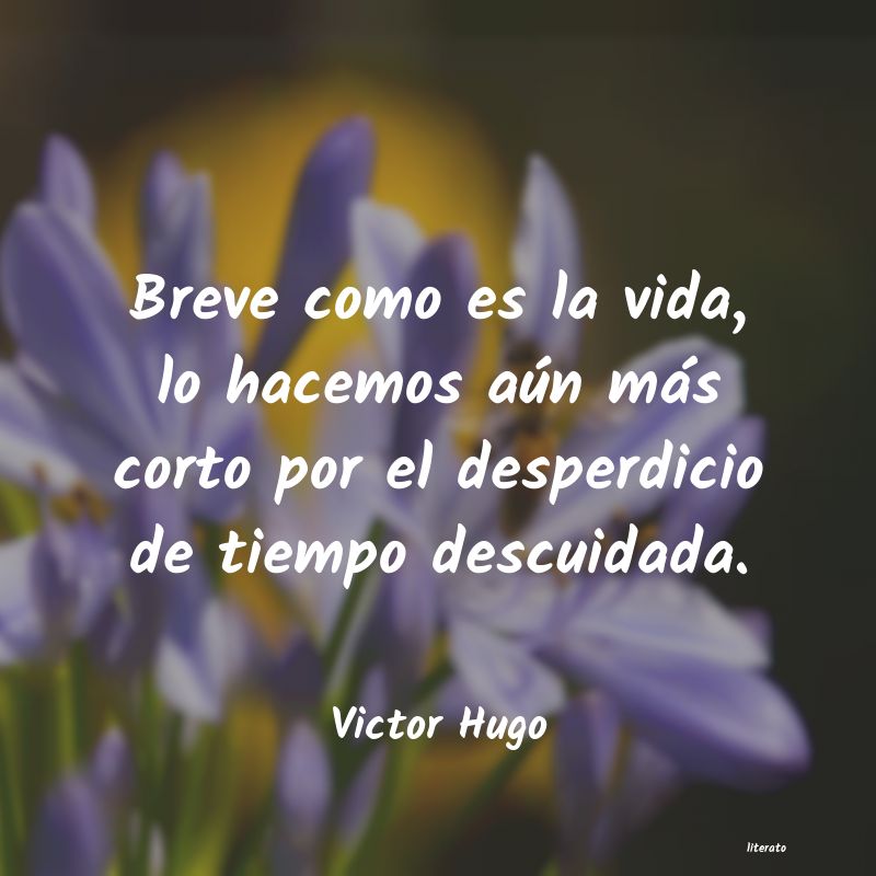 lagrimas con victor hugo