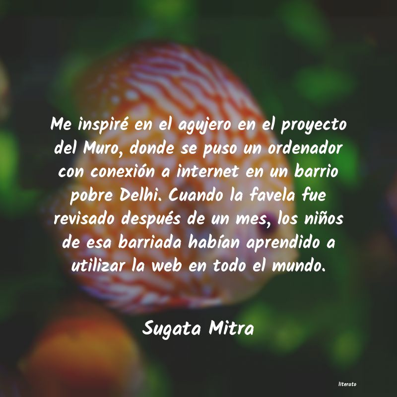 Frases de Sugata Mitra