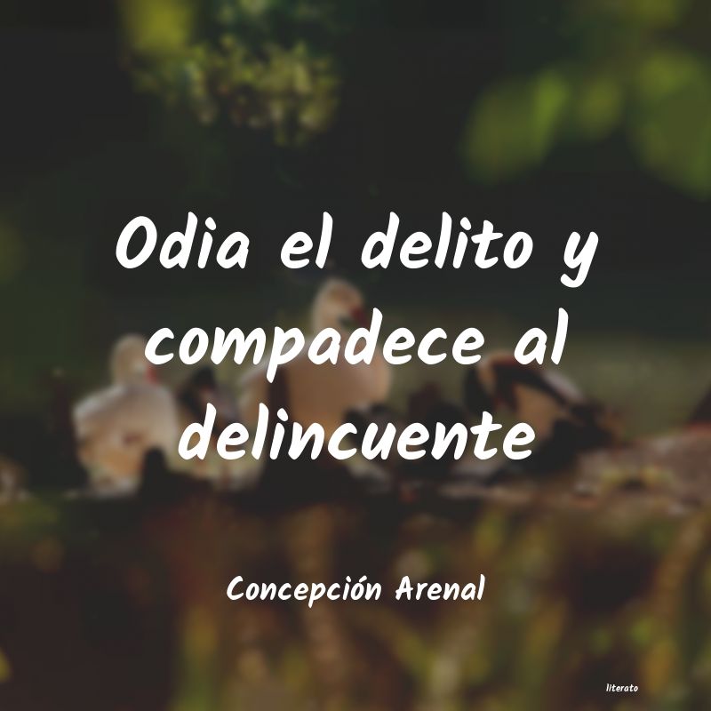 Frases de Concepción Arenal