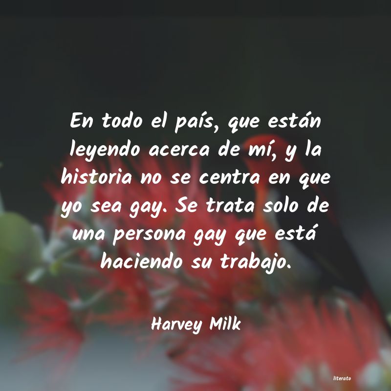 frases de Harvey Milk