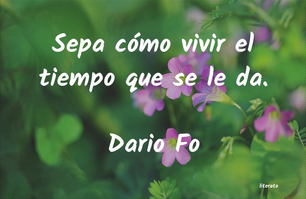 Frases de Dario Fo