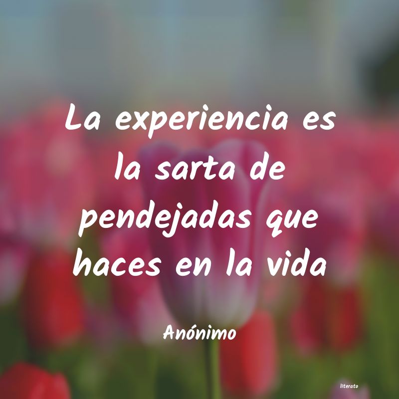 frases