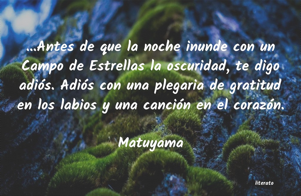 Frases de Matuyama