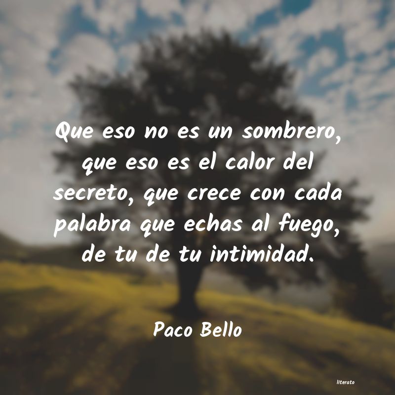 Frases de Paco Bello