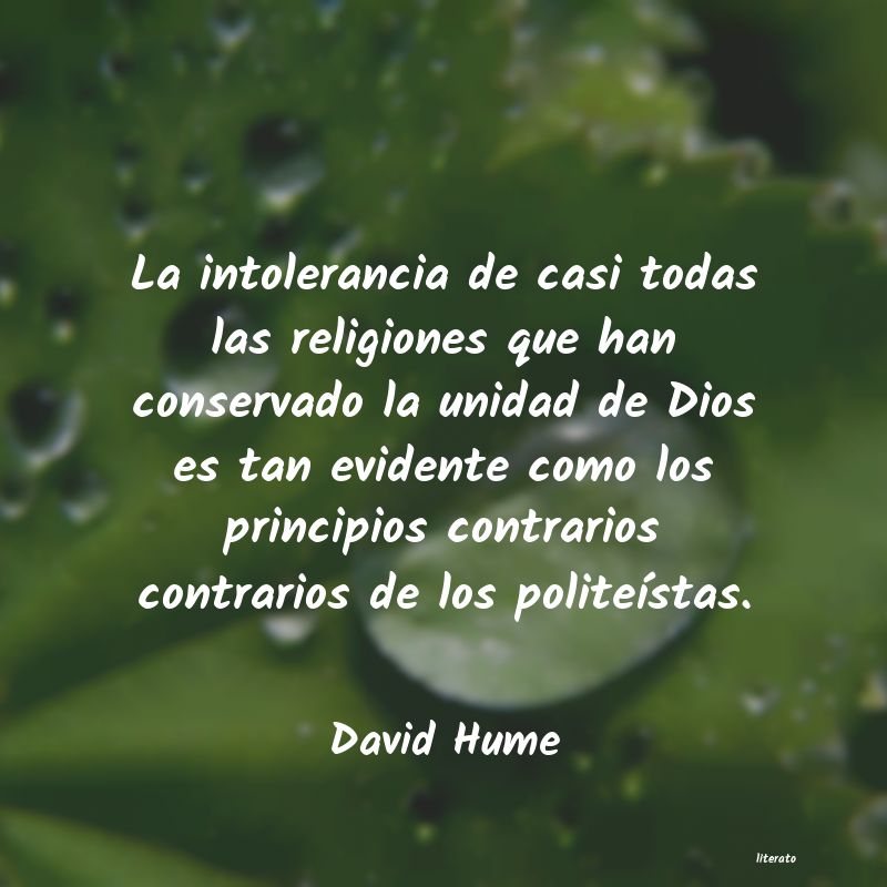 Frases de David Hume