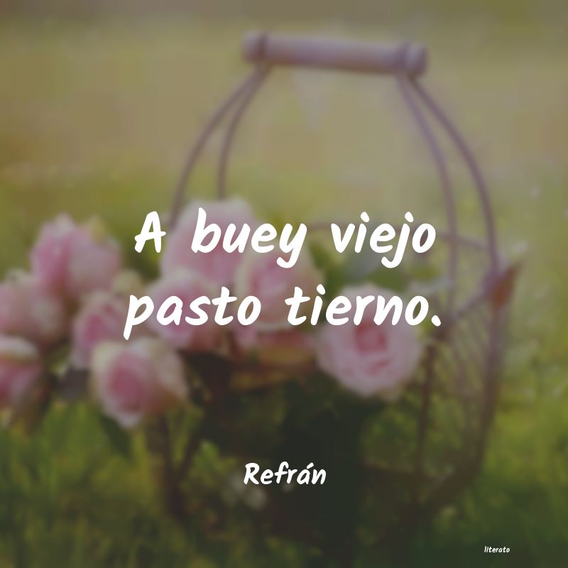 frases de Refrán