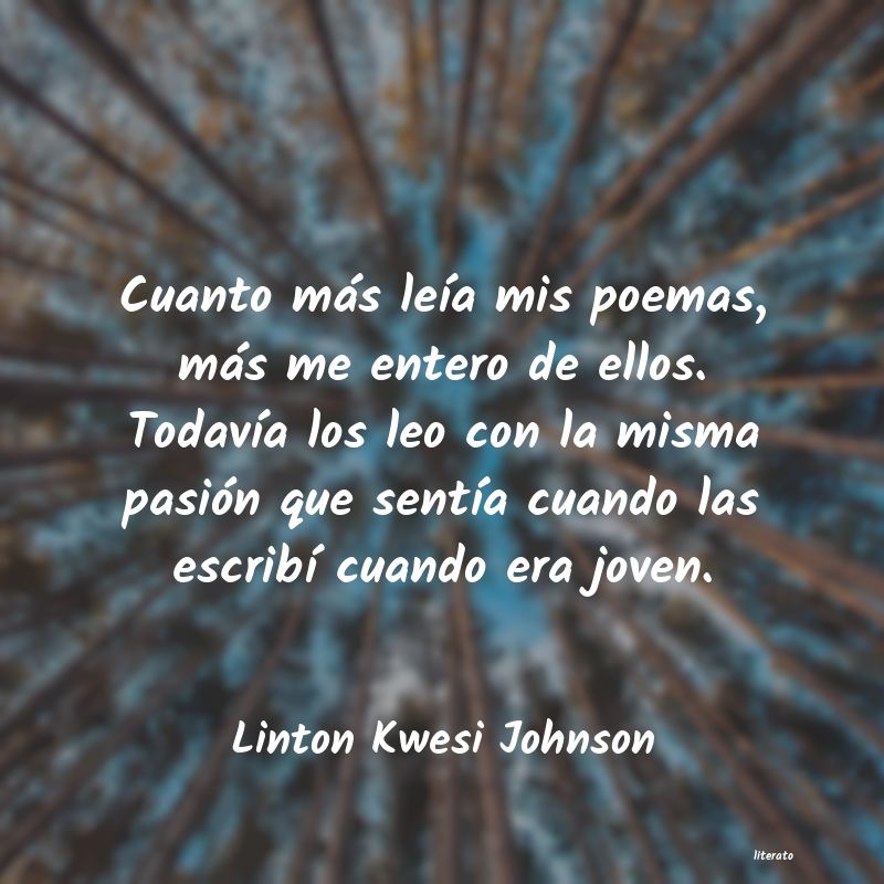 Frases de Linton Kwesi Johnson