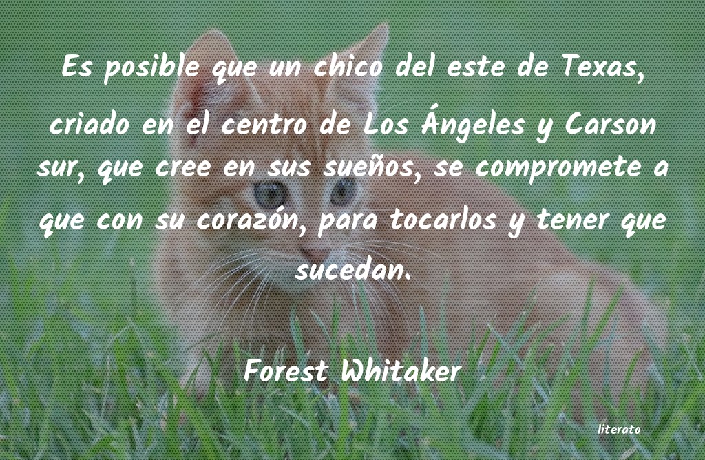 Frases de Forest Whitaker