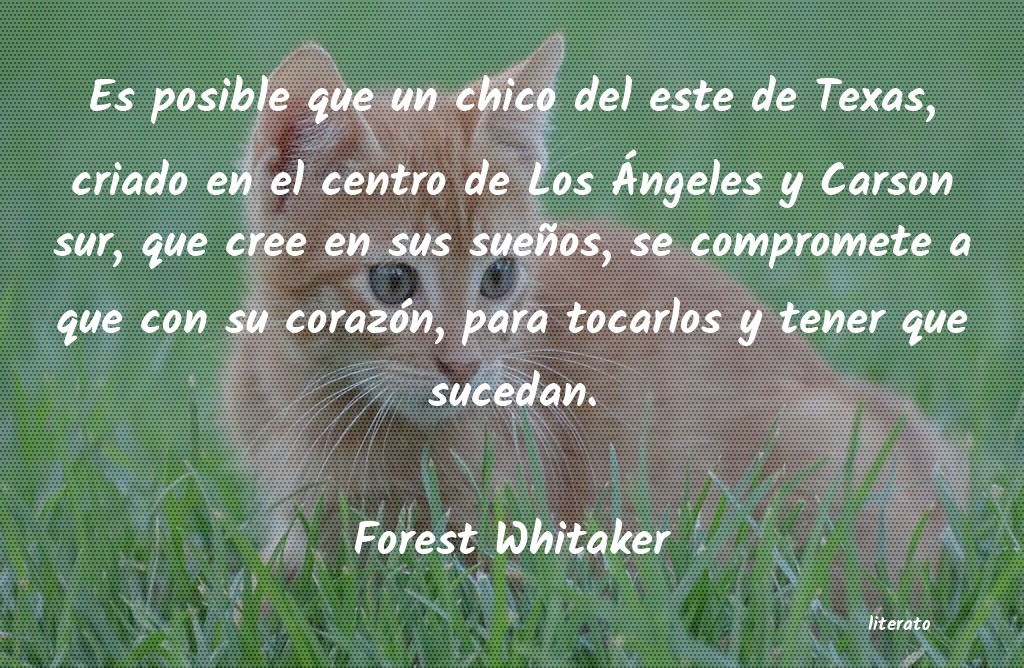 frases de Forest Whitaker