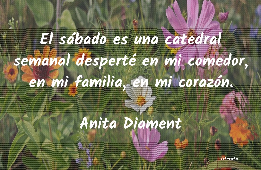 Frases de Anita Diament