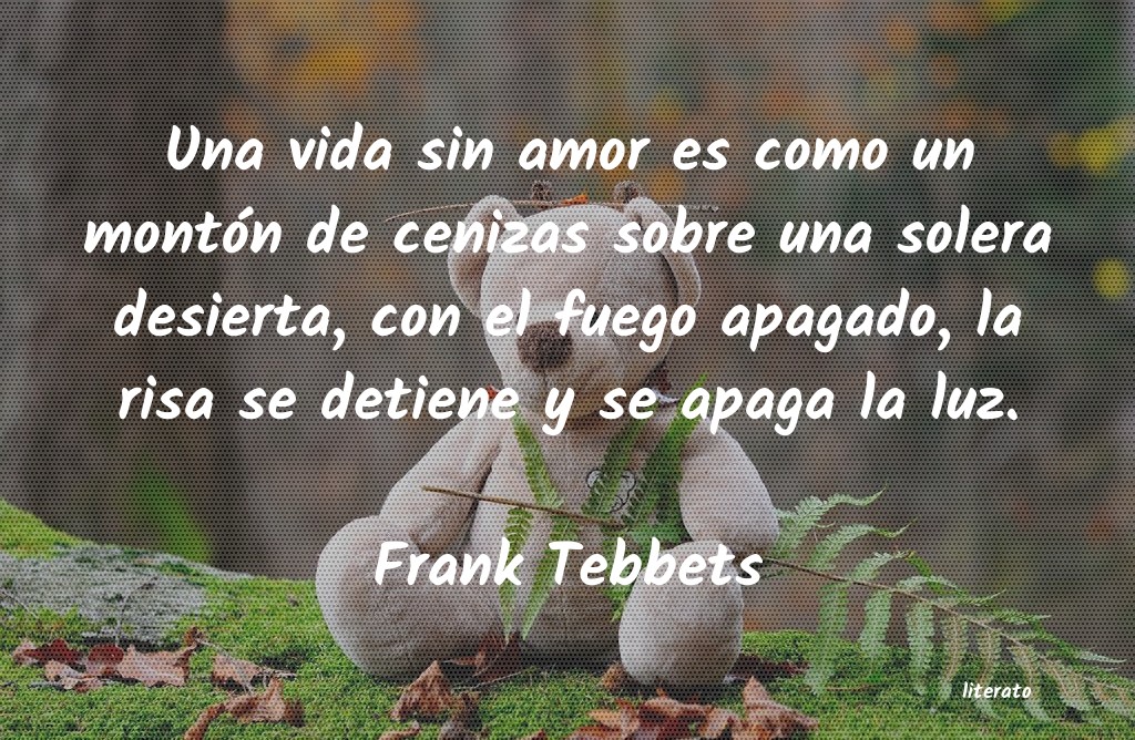 frases de Frank Tebbets