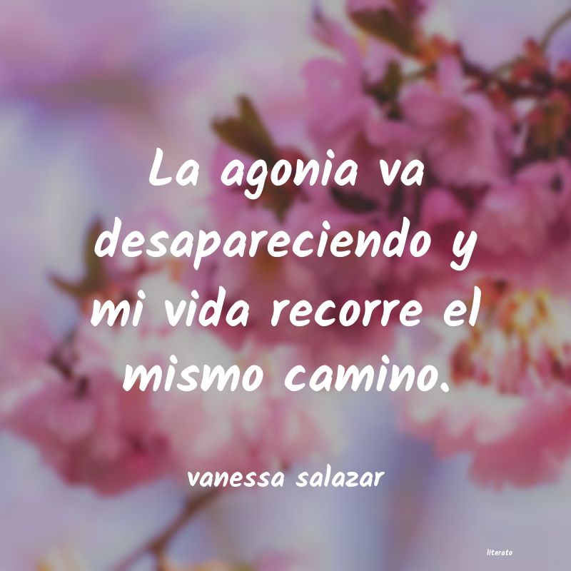 Frases de vanessa salazar