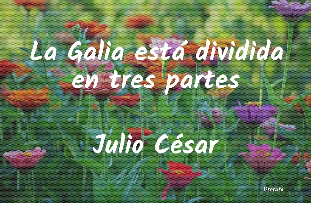 frases de Julio César