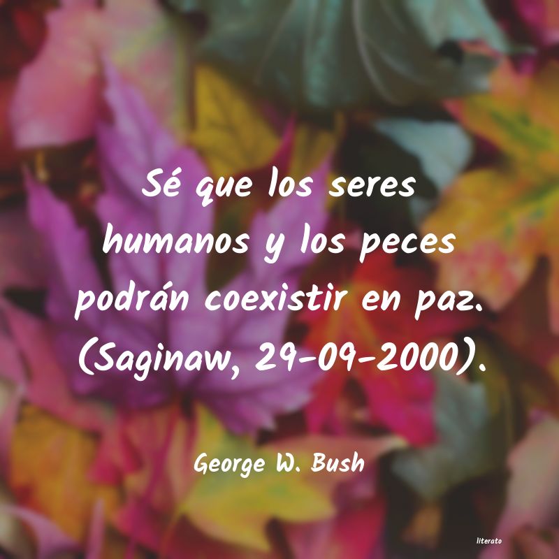 frases de George W. Bush