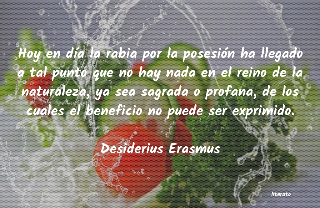 Frases de Desiderius Erasmus