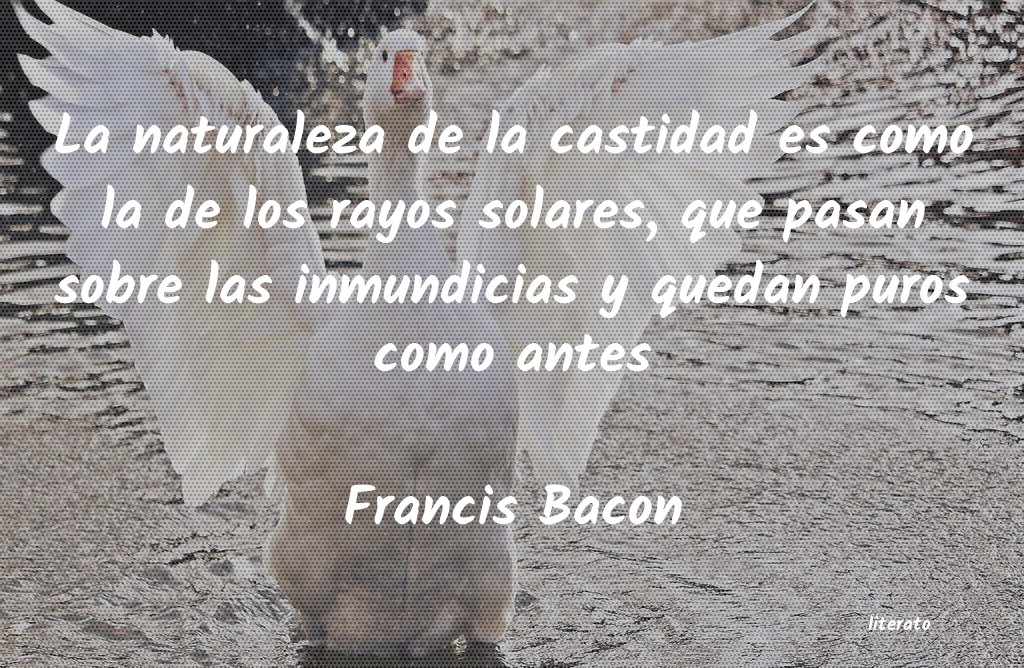 frases de Francis Bacon