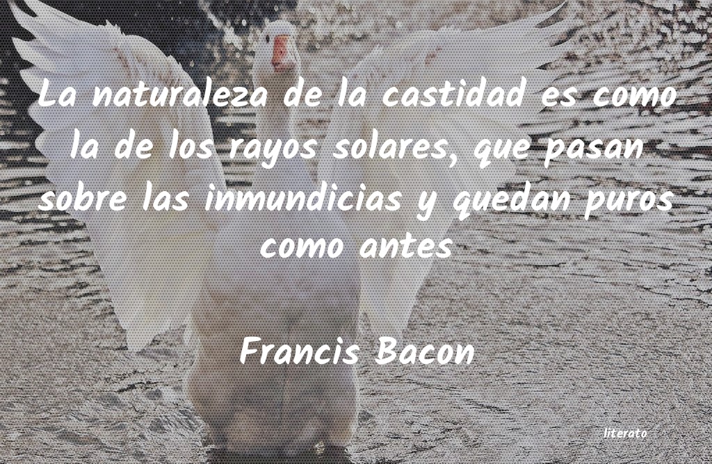 Frases de Francis Bacon