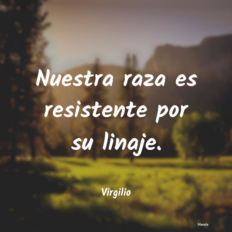 frases de Virgilio