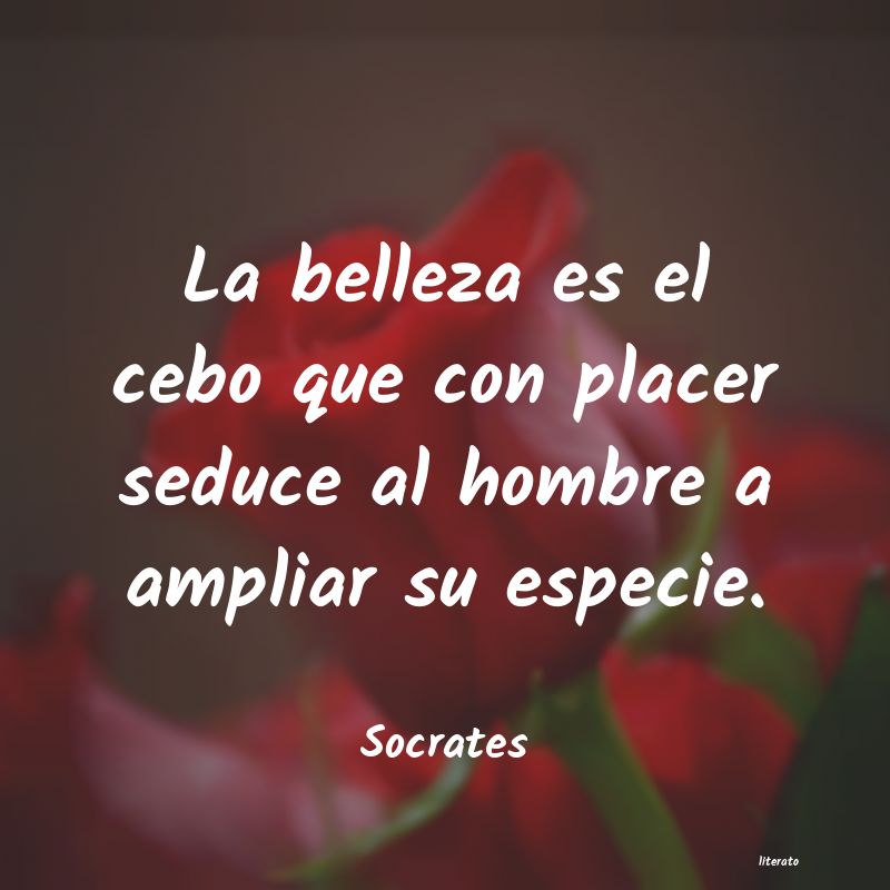 frases de Socrates