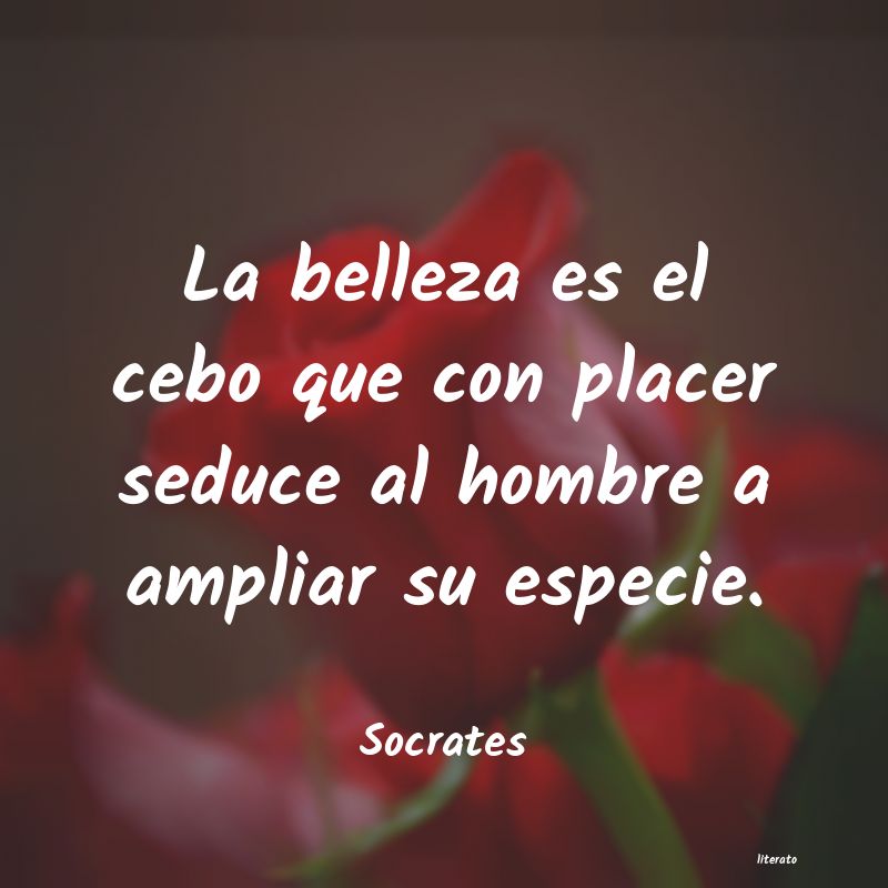 Frases de Socrates