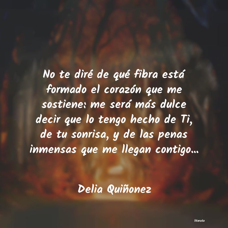 Frases de Delia Quiñonez