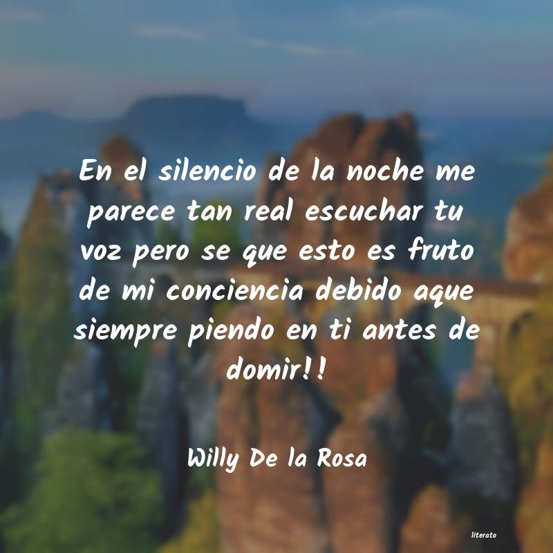 Frases de Willy De la Rosa