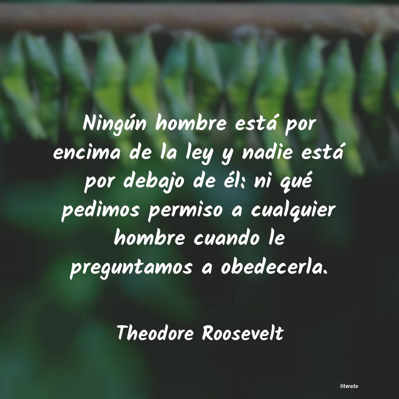 frases de Theodore Roosevelt