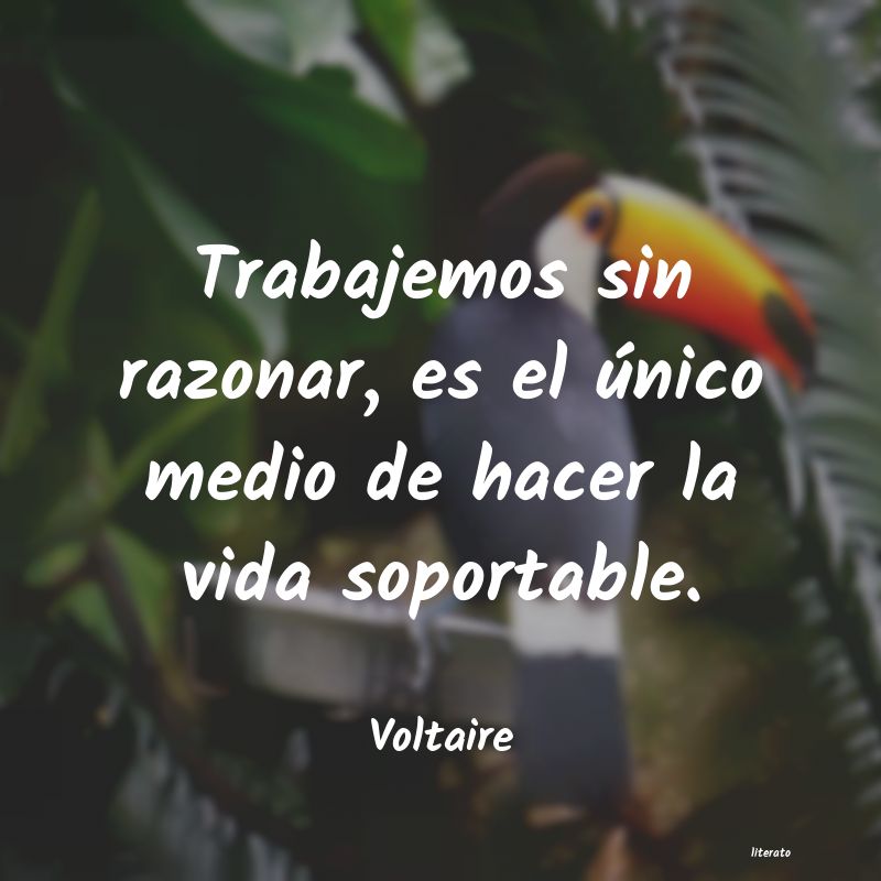 frases de Voltaire
