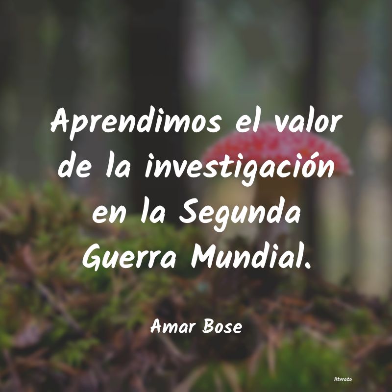 frases de Amar Bose