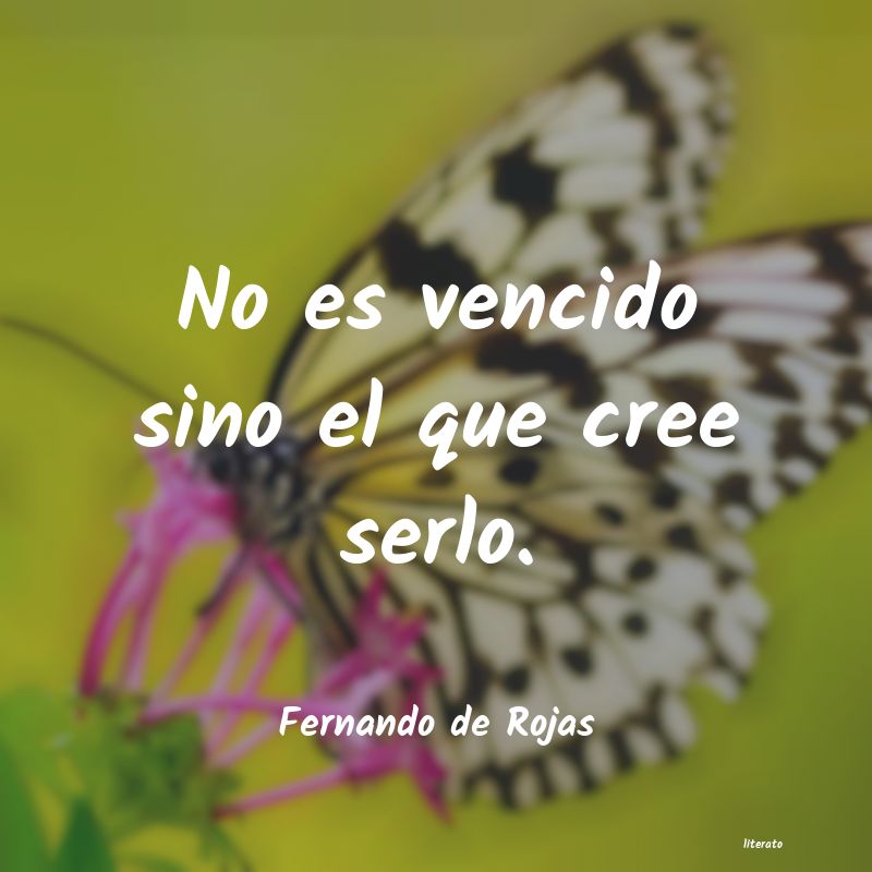 frases de Fernando de Rojas