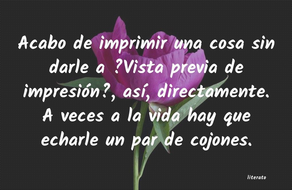 frases