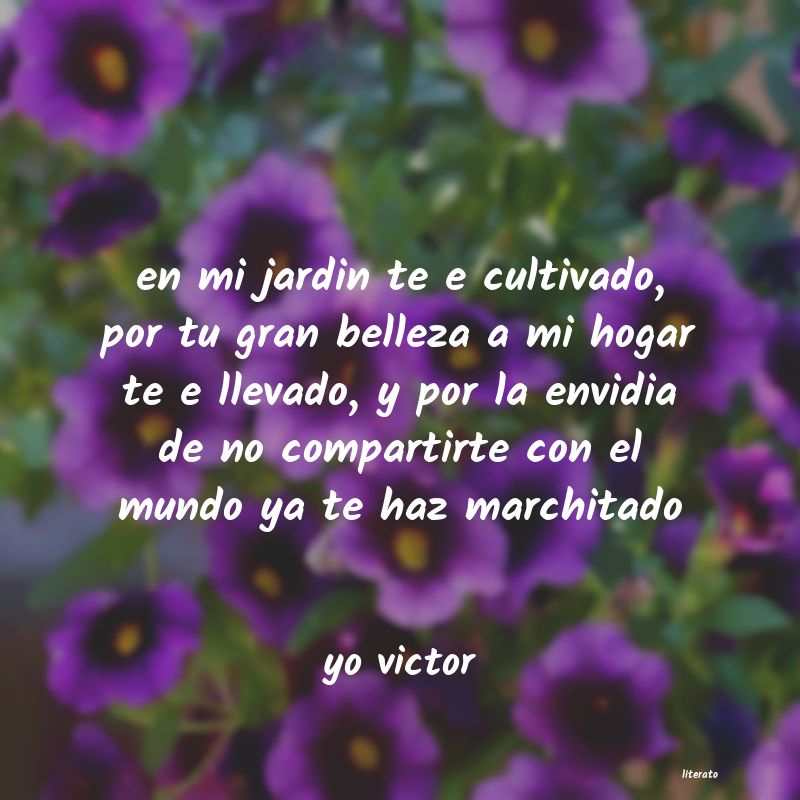 Frases de yo victor