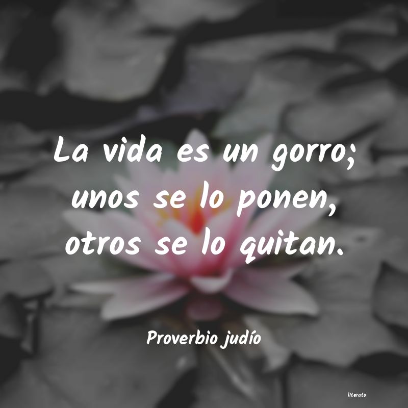 Frases de Proverbio judío