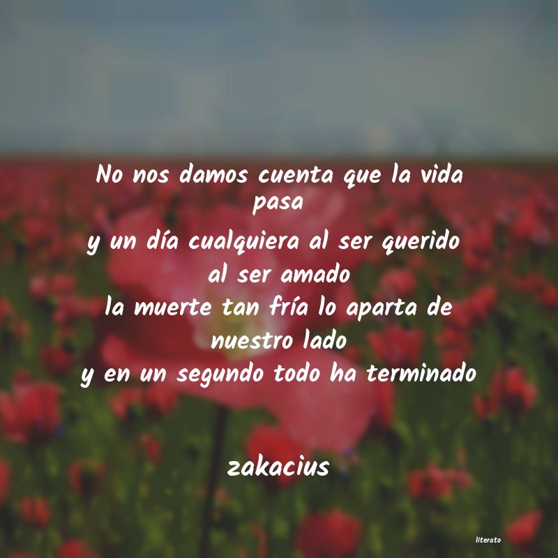 Frases de zakacius