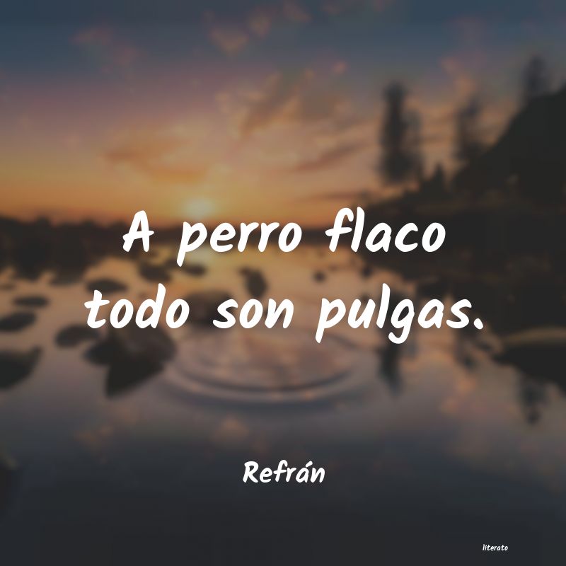 frases de Refrán