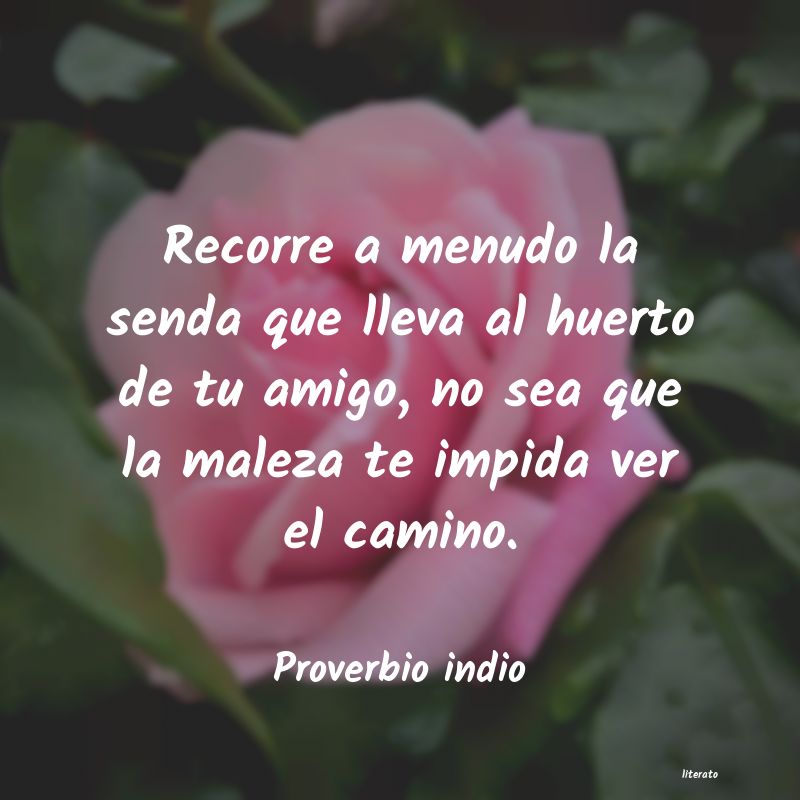 Frases de Proverbio indio