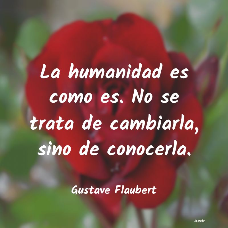 Frases de Gustave Flaubert