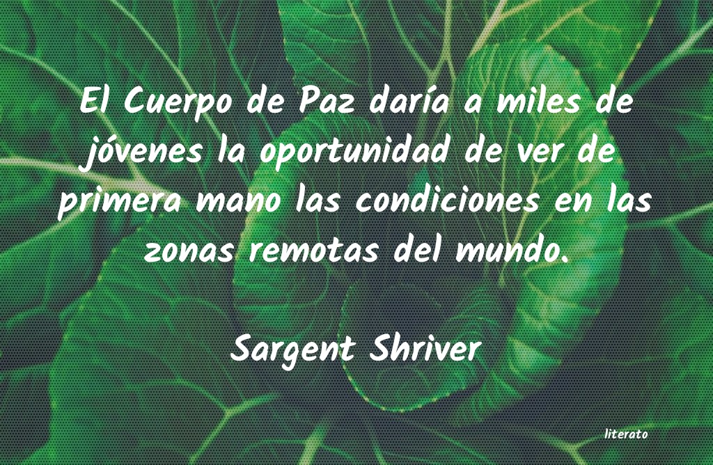 Frases de Sargent Shriver