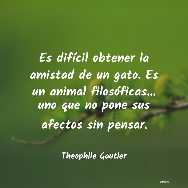 Frases de Theophile Gautier