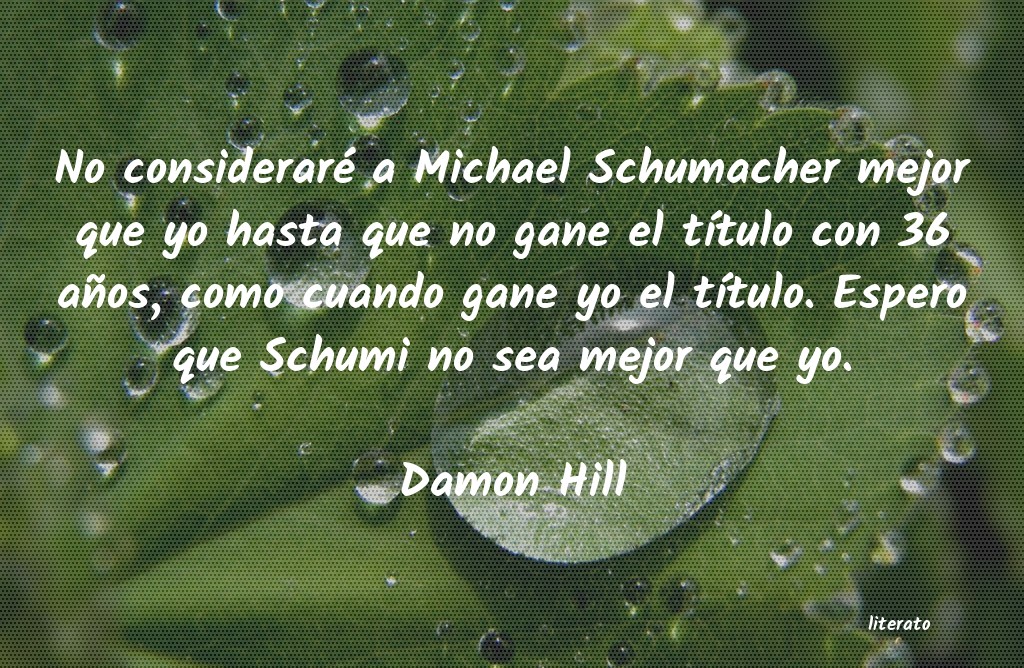 frases de Damon Hill