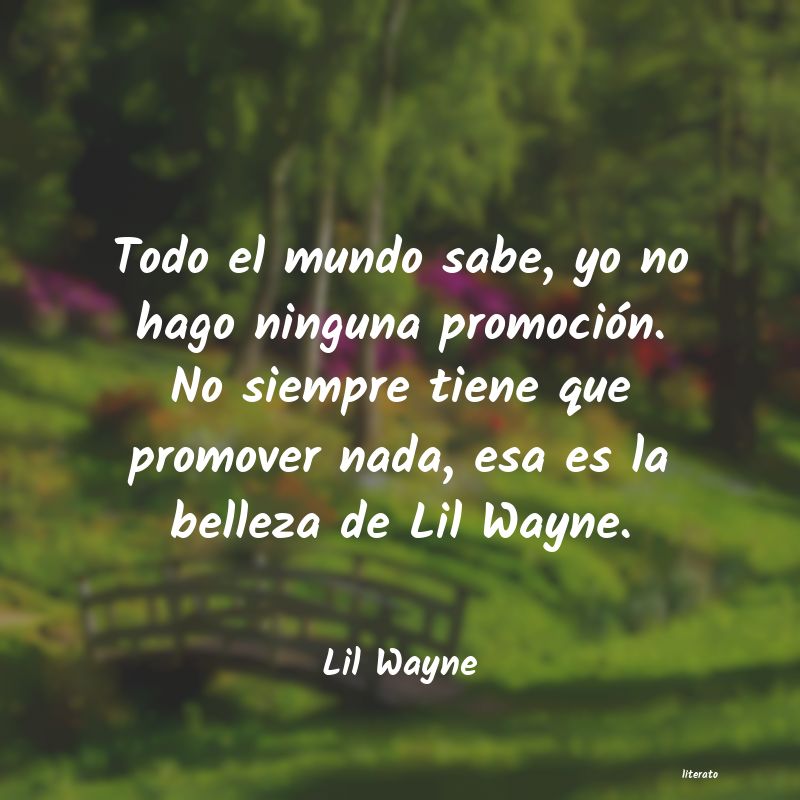 Frases de Lil Wayne