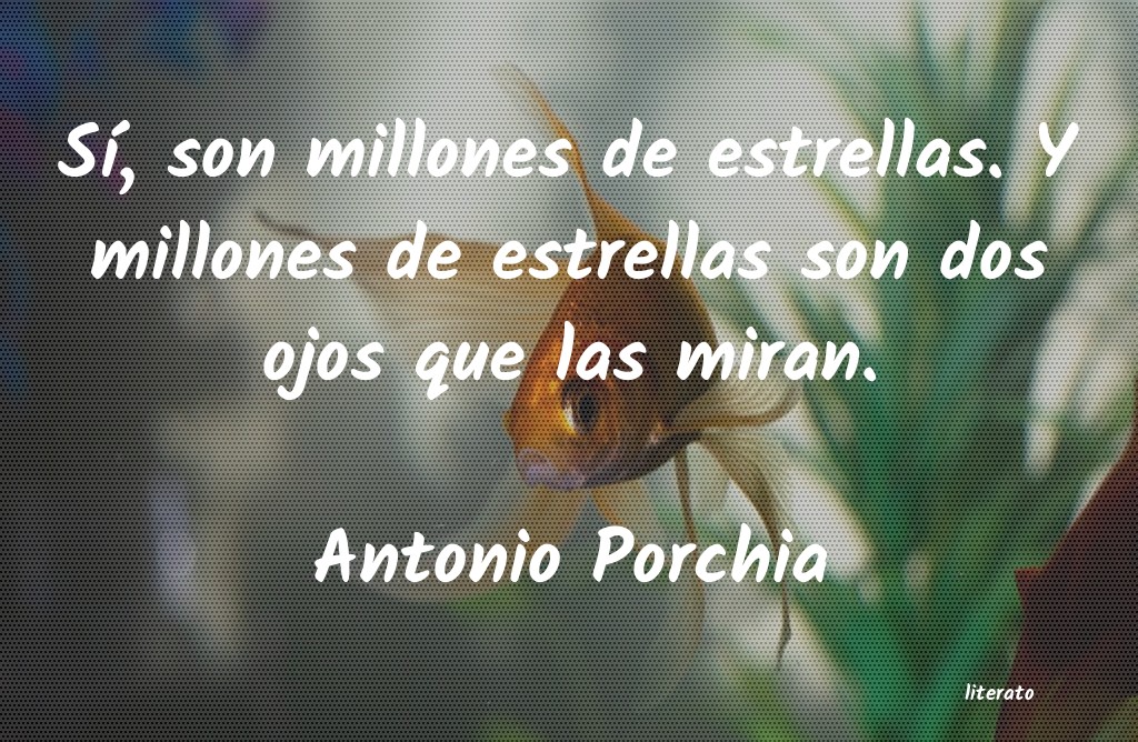 Frases de Antonio Porchia