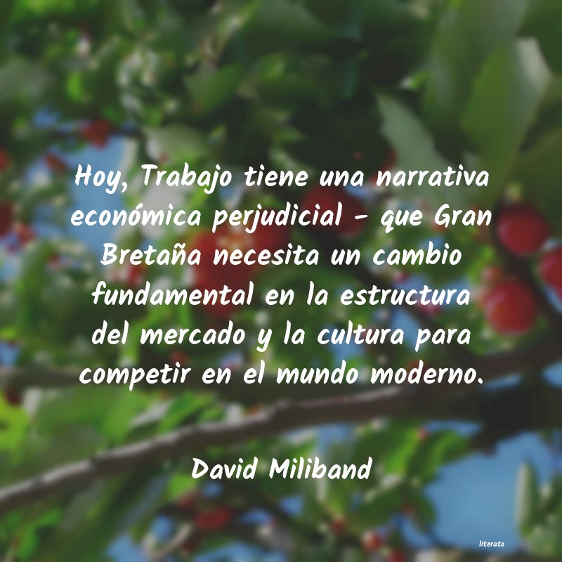 Frases de David Miliband