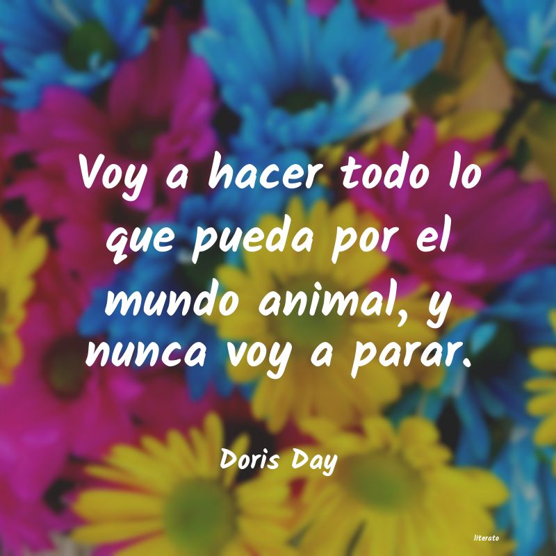 Frases de Doris Day