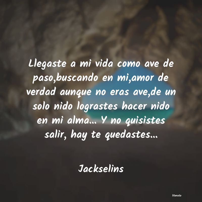 Frases de Jackselins